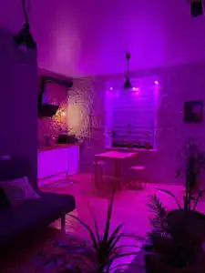 Tolstoy Art House - 116