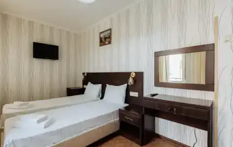 Пальма - 14