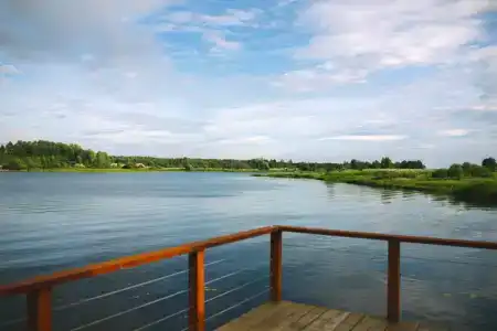 Носороги - 54