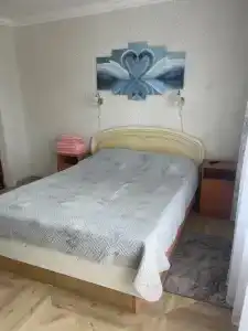 Кипарис - 174