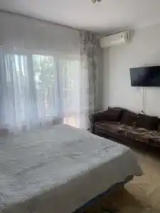 Кипарис - 176