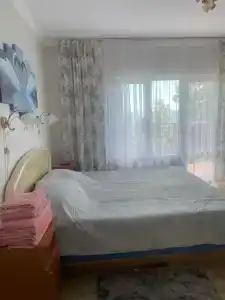 Кипарис - 177