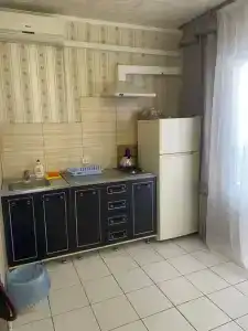 Кипарис - 186