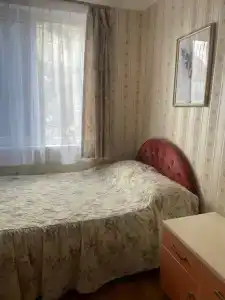 Кипарис - 188