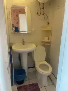 Кипарис - 192