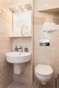 Силуэт - 46