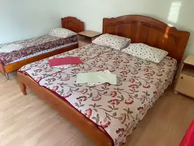 Дельфиниум - 68