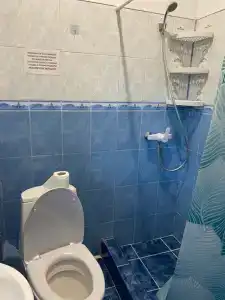 Дельфиниум - 72