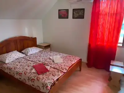 Дельфиниум - 66