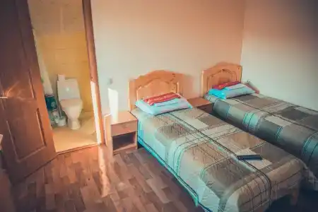 Дельфиниум - 74