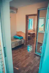 Дельфиниум - 77