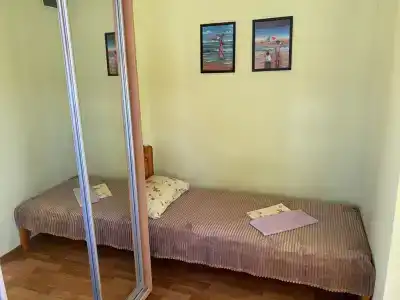 Дельфиниум - 78