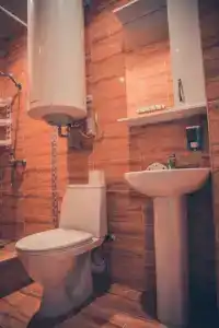 Дельфиниум - 79