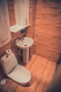 Дельфиниум - 81