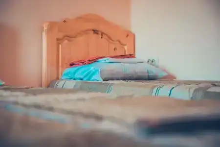 Дельфиниум - 83