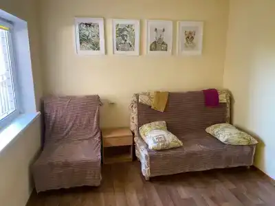 Дельфиниум - 89