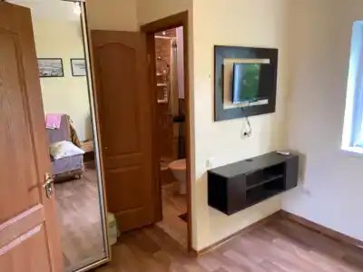 Дельфиниум - 92