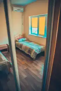 Дельфиниум - 94