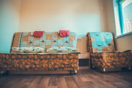 Дельфиниум - 87