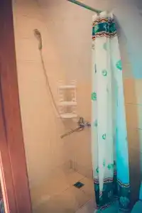 Дельфиниум - 97