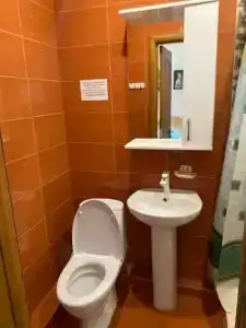 Дельфиниум - 100