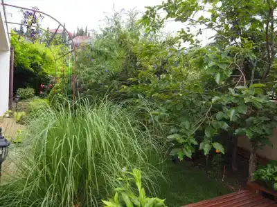 Вилла Мармарис - 36