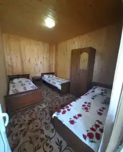 Анаида - 15