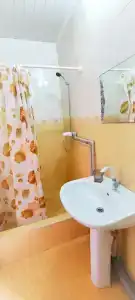 Вишня - 18
