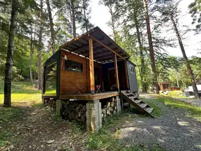 Шелест - 34