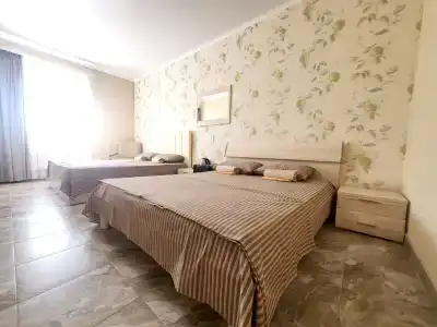 Барбарис - 10