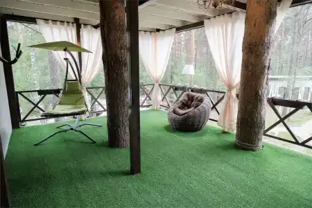 Хвоя - 16