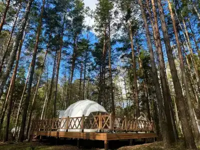 Хвоя - 58