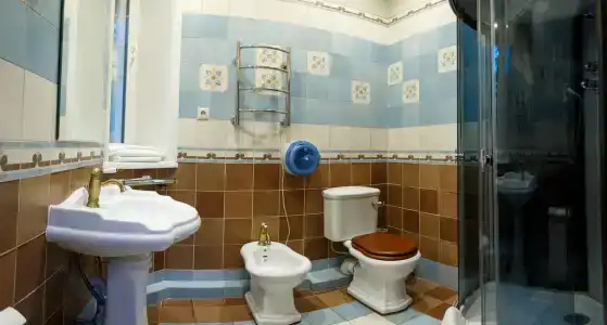 Хвоя - 86