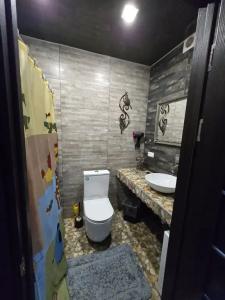 Exclusive Wine & Gastro Yard - 30