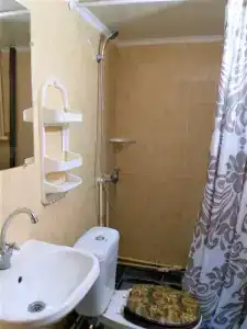 Пальма - 21