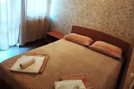 Пальма - 24