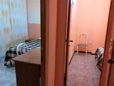 Пальма - 26