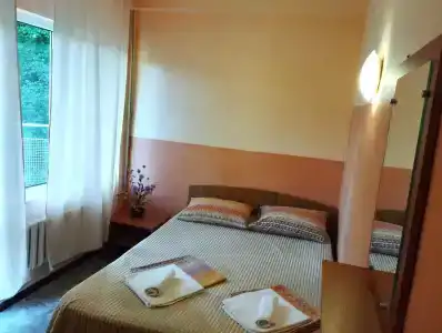 Пальма - 28