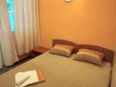 Пальма - 29