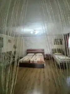 Зеленый - 21