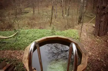 Кедровый - 92