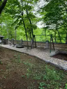 Forest Dreams - 130