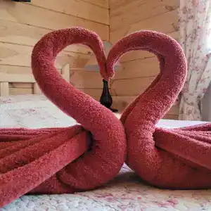 Усадьба Жар-Птица - 116