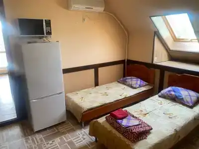 Дельфиниум - 103