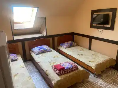 Дельфиниум - 104