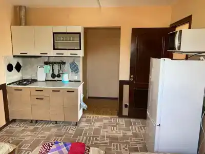 Дельфиниум - 102