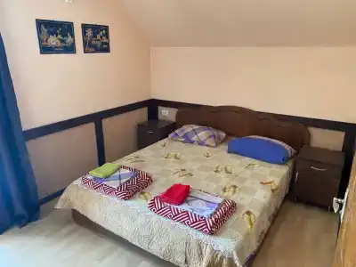 Дельфиниум - 105