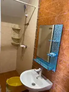 Дельфиниум - 106