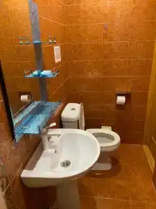 Дельфиниум - 107