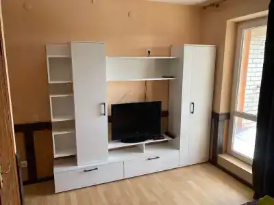 Дельфиниум - 109